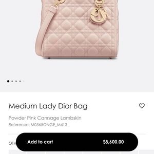 Medium Lady Dior Bag（plus scarf）